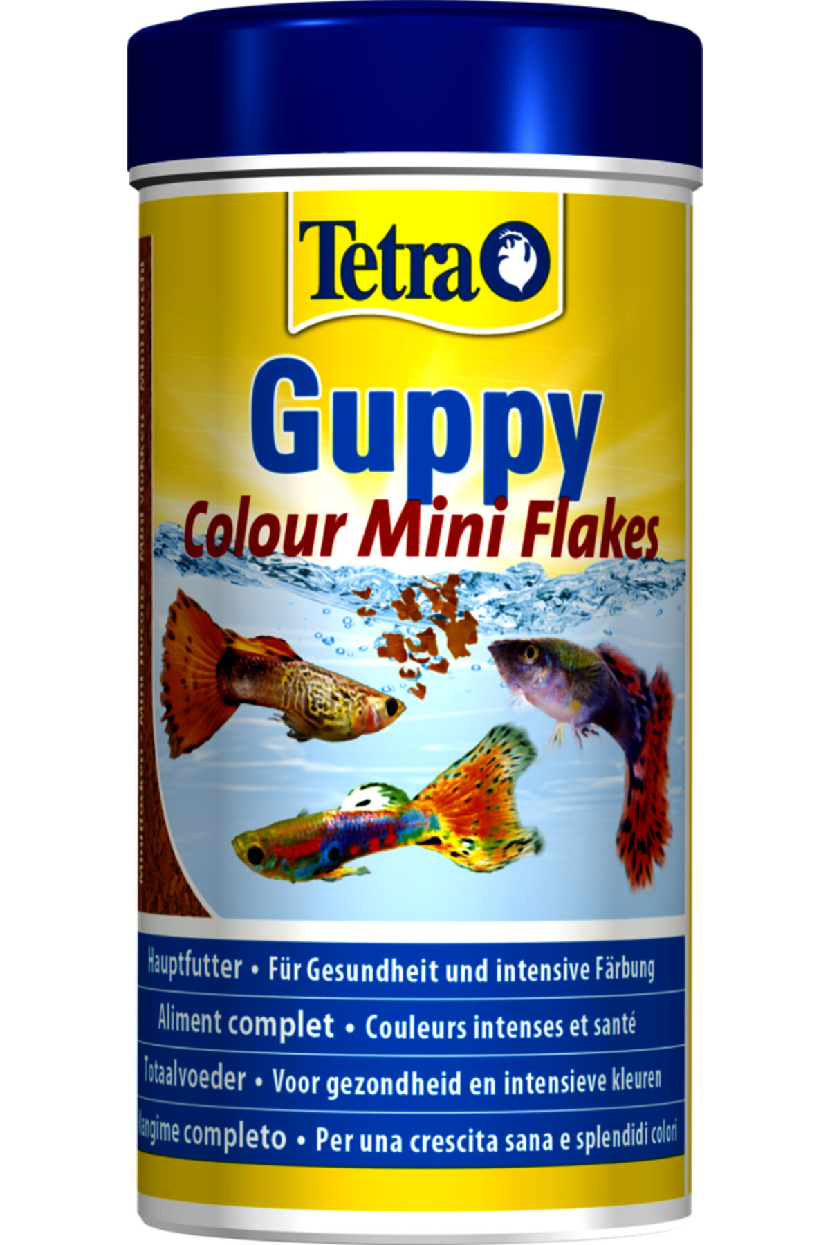 Tetra Guppy Colour Mini Flakes Lepistes Renk Yemi 250ml 75gr.