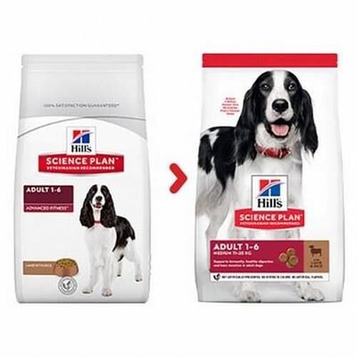 Hills Medium Lamb Orta Irk Kuzulu Yetişkin Köpek Maması 2,5 Kg