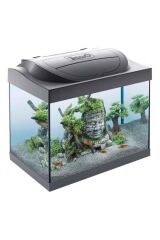 Tetra Starter Line Led Akvaryum Seti 30Lt Siyah