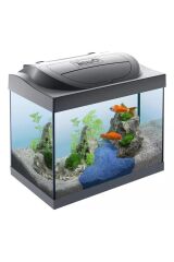Tetra Starter Line Led Akvaryum Seti 30Lt Siyah