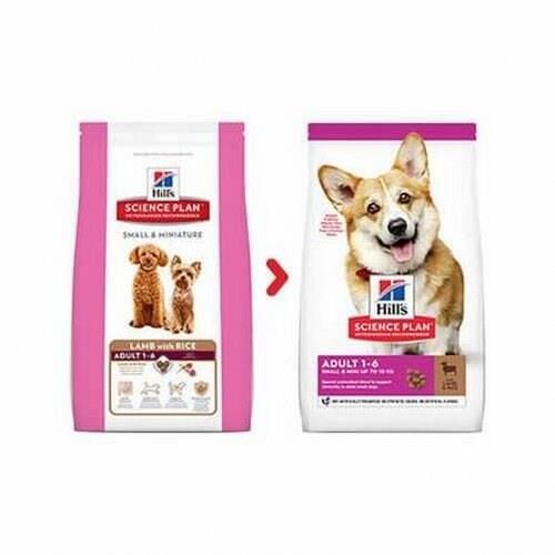 Hills Small Mini Kuzulu Pirinçli Yetişkin Köpek Maması 6 Kg