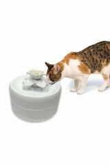 Pioneer Pet Manolya Kediler Için Otomatik Su Kabı 1600 Ml