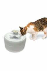 Pioneer Pet Manolya Kediler Için Otomatik Su Kabı 1600 Ml
