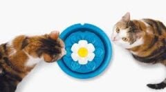 Catit 2.0 Çiçek Şekilli Led Işıklı Otomatik Su Kabı 3 Lt