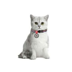 Waudog Collar QR Pasaportlu Kedi ve Ufak Irk Köpek Boyun Tasması 20-30 CM, 10 MM, Line 1