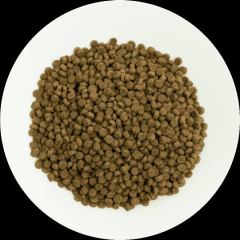 Pro choice Pro38 kitten kuzu etli yavru kedi 3 kg açık mama