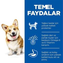 Hills Kuzu Ve Pirinçli Küçük Ve Mini Irk Yetişkin Köpek Maması 1,5 Kg