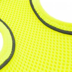 Tailpetz Air Mesh Köpek Göğüs Tasması Neon Yeşil XLarge