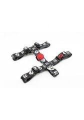 TAILPETZ BOO H-HARNESS M GÖĞÜS TASMASI
