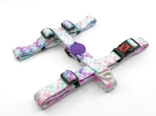 TAILPETZ BUBBLES H-HARNESS XS GÖĞÜS TASMASI