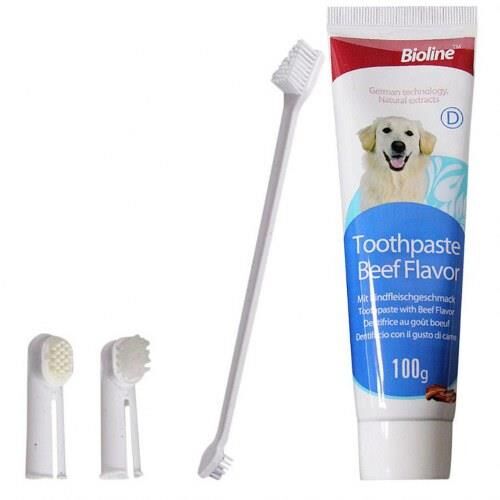Bioline Köpekler İçin Ağız Temizleme Jeli ve Diş Fırçası Seti 100 Gr