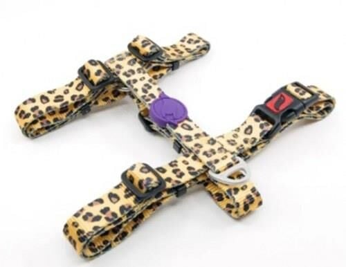TAILPETZ LEOPARD H-HARNESS S GÖĞÜS TASMASI