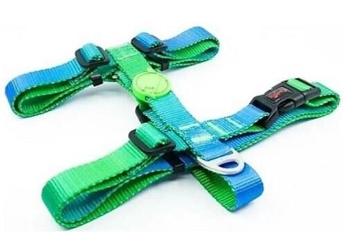 TAILPETZ AMAZON H-HARNESS S GÖĞÜS TASMASI