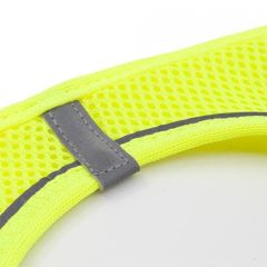 Tailpetz Air Mesh Köpek Göğüs Tasması Neon Yeşil Large