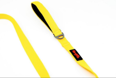 Tailpetz Yellow Match Leash Gezdirme Tasması