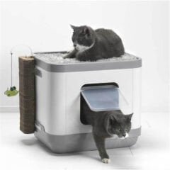 Moderna Cat Consept Çok İşlevli Kedi Evi (Tuvalet-Tırmalama-Yatak)