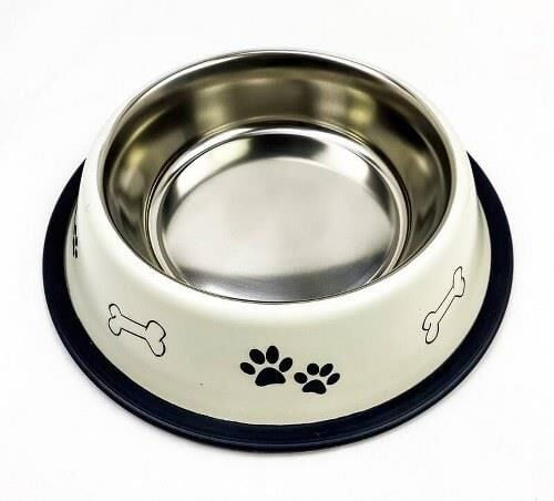 Playfull Desenli Çelik Mama ve Su Kabı 64 Oz