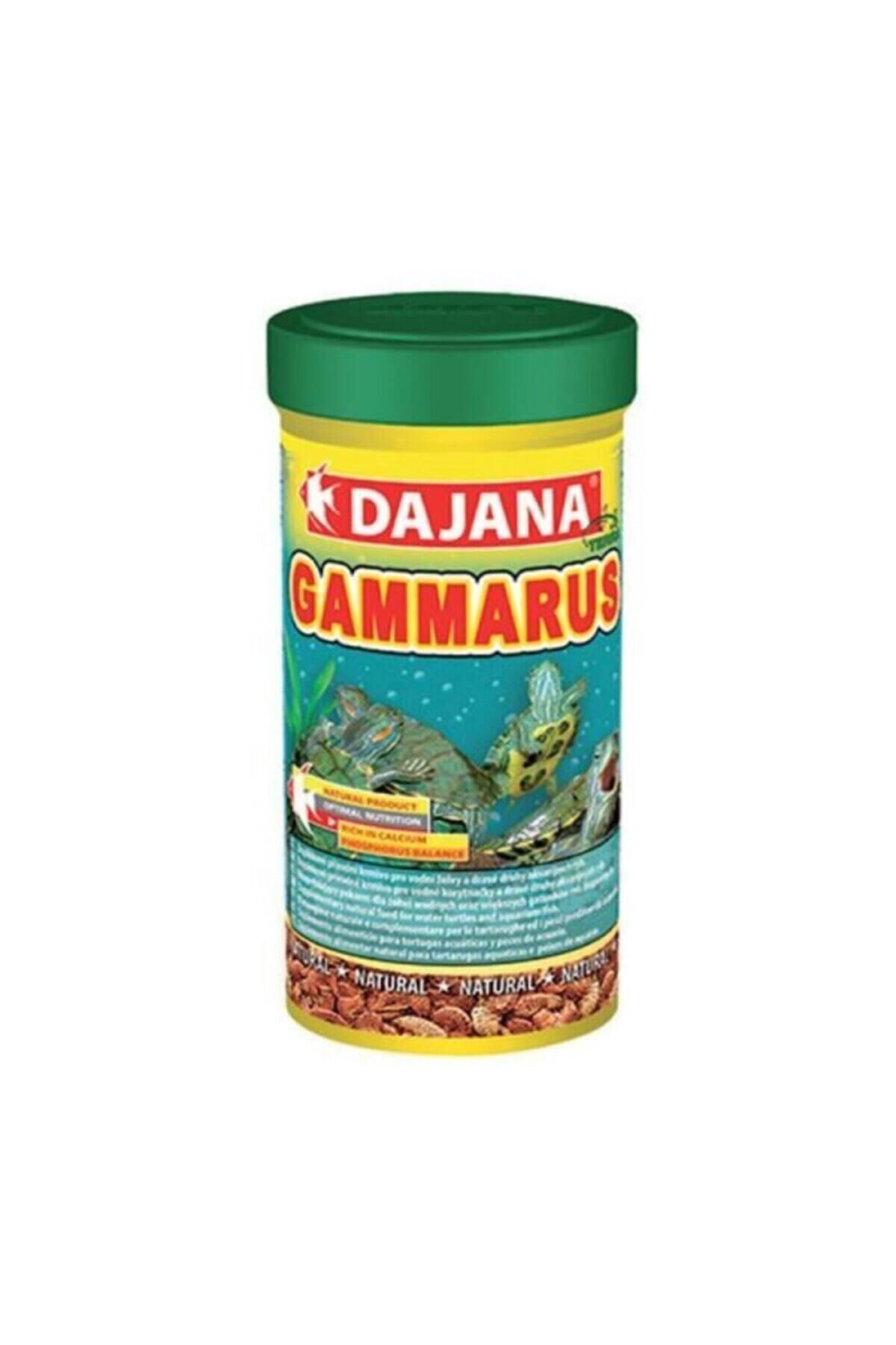 Dajana Kaplumbağa Yemi Gammarus 100 ml 10 gr