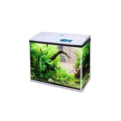 Sobo Komple Akvaryum 60x30x51 Cm Beyaz