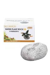 Ista Bitki Kayası Küçük Boy i939