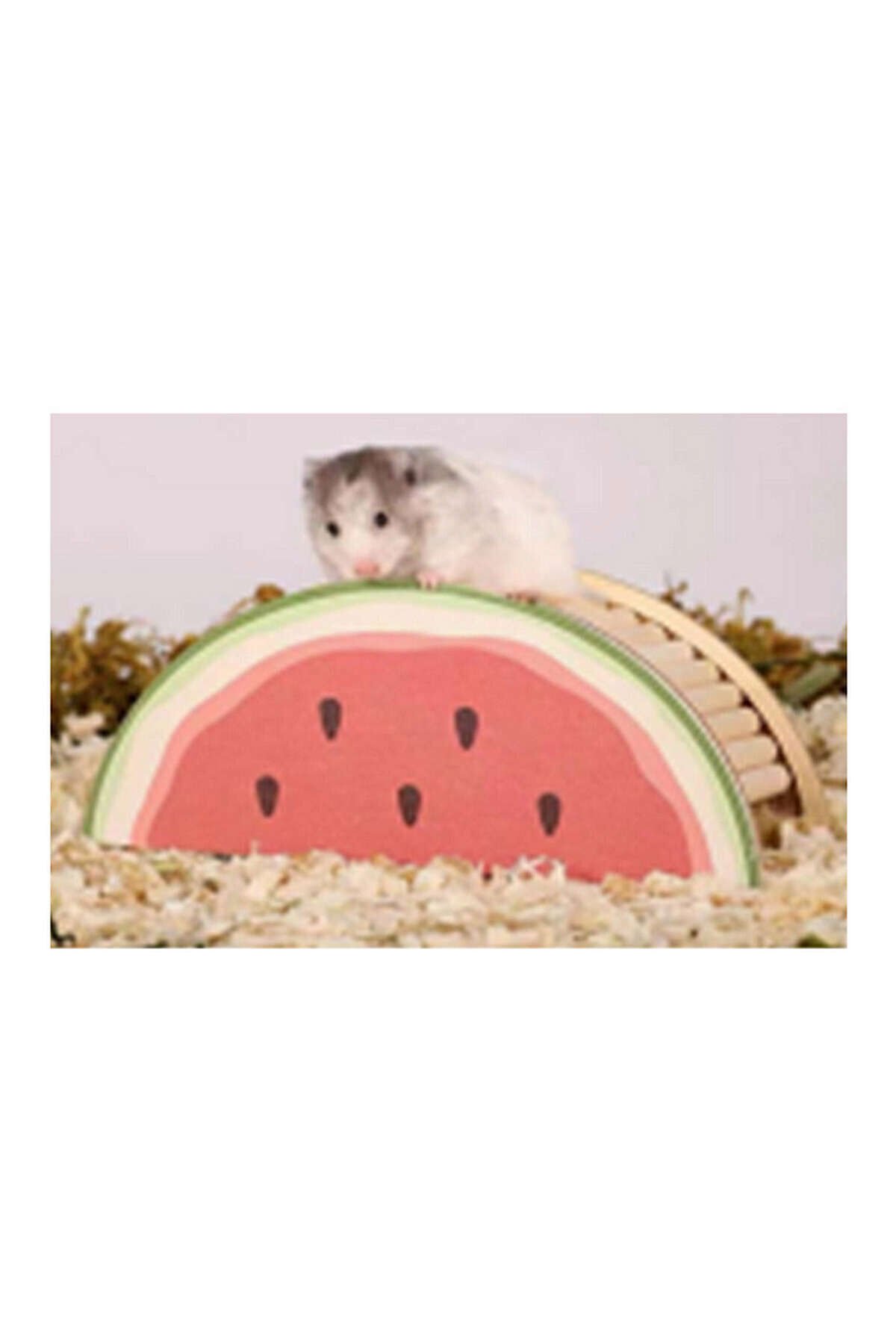 Pawise Ahşap Kemirgen Yuvası Karpuz