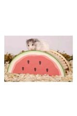 Pawise Ahşap Kemirgen Yuvası Karpuz