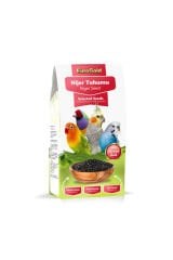 EuroGold Nijer Tohumu Kuş Yemi 100 gr