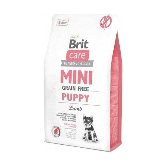 Brit Care Mini Tahılsız Kuzu Etli Küçük Irk Yavru Köpek Maması 2 KG