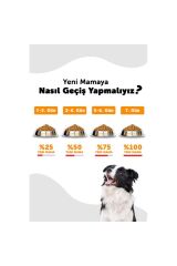 La Vital Lavital Somonlu Büyük Irk Yetişkin Köpek Maması 15kg