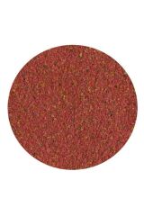 Tetra Guppy Mini Flakes Lepistes Yemi 100 ml