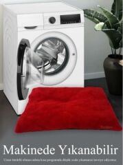 Patiderm Peluş Kedi ve Köpek Yatağı Yer Minderi - Karışık Renk 2XLarge