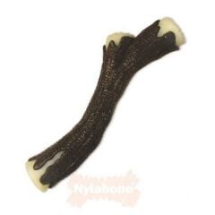 Nylabone Domuz Pastırması Aromalı Köpek Çiğneme Çubuğu XL