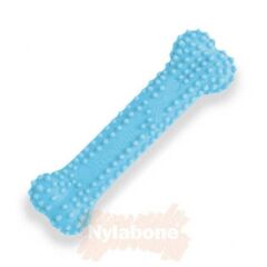 Nylabone Tavuk Aromalı Yavru Köpek Çiğneme Çubuğu XS